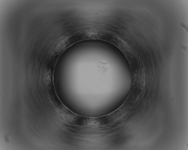 X0000093590702200710151204