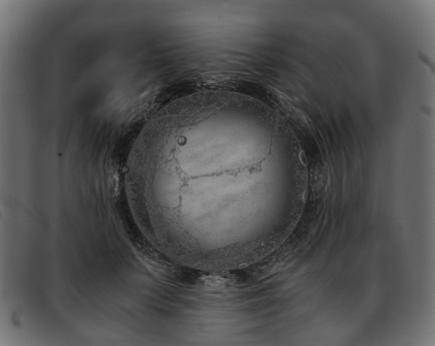 X0000093590703200710151204