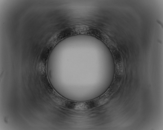 X0000093590705200710151204