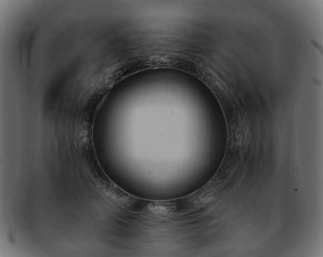 X0000093590706200710151204