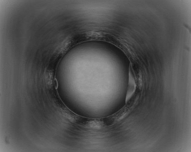 X0000093590708200710151204