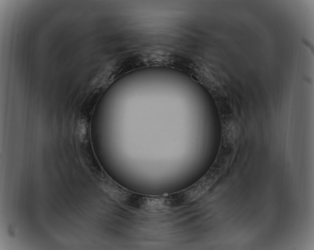 X0000093590709200710151204