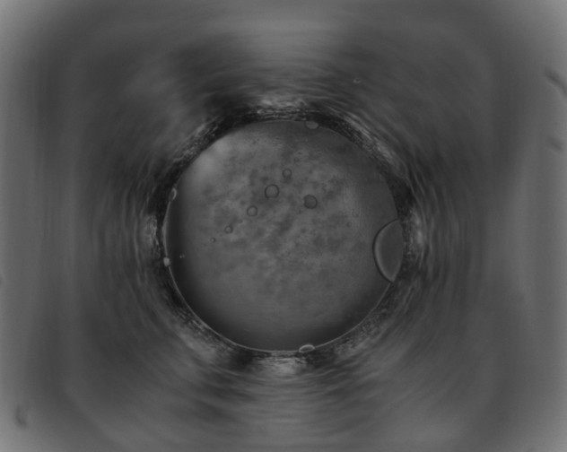 X0000093590711200710151204