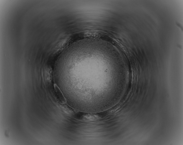X0000093590712200710151204