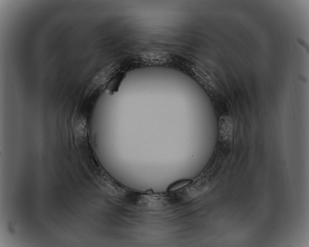 X0000093590713200710151204