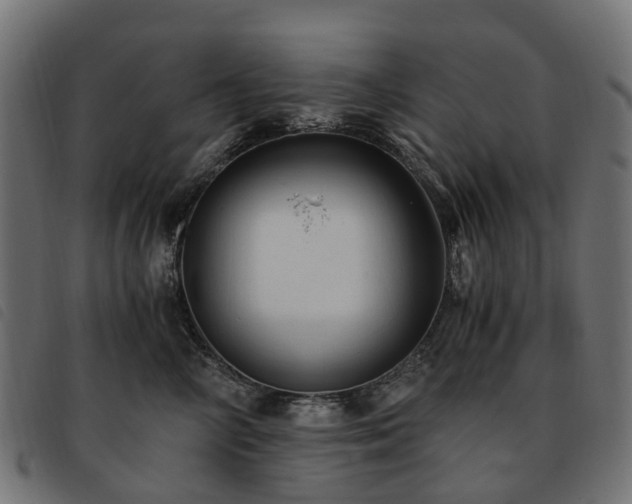 X0000093590714200710151204