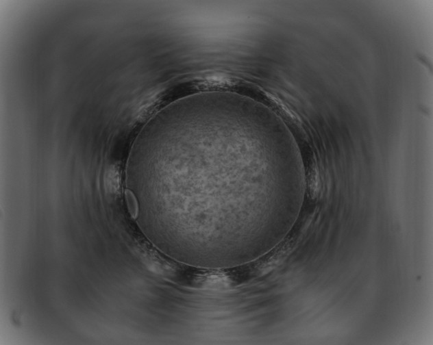 X0000093590715200710151204