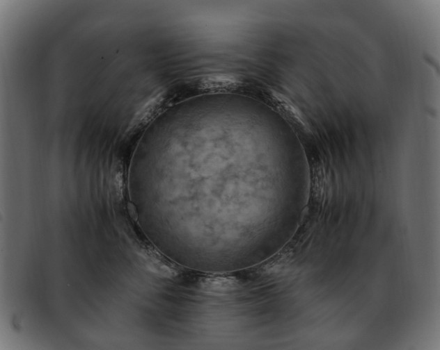 X0000093590716200710151204