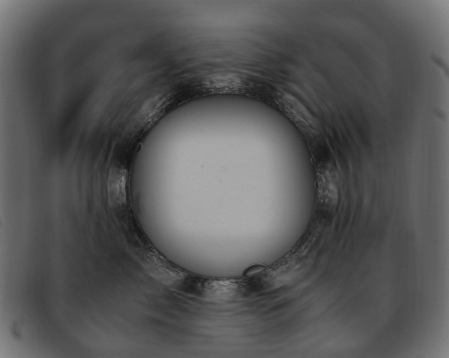 X0000093590717200710151204