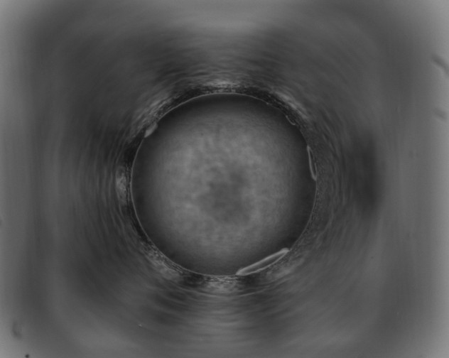 X0000093590720200710151204