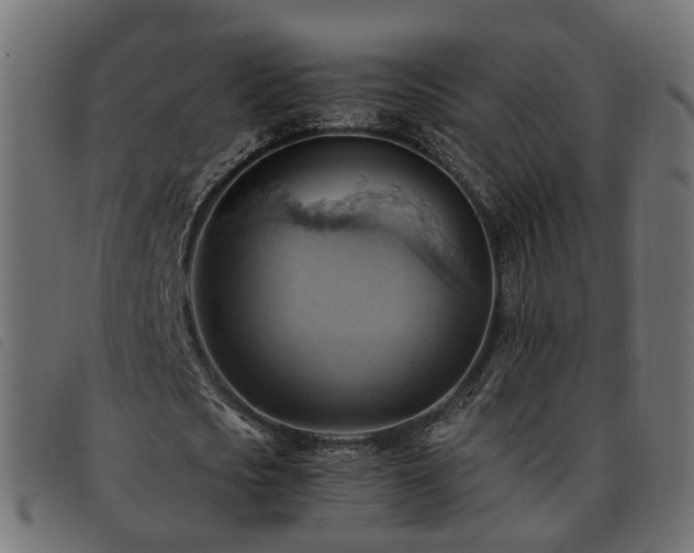 X0000093590721200710151203