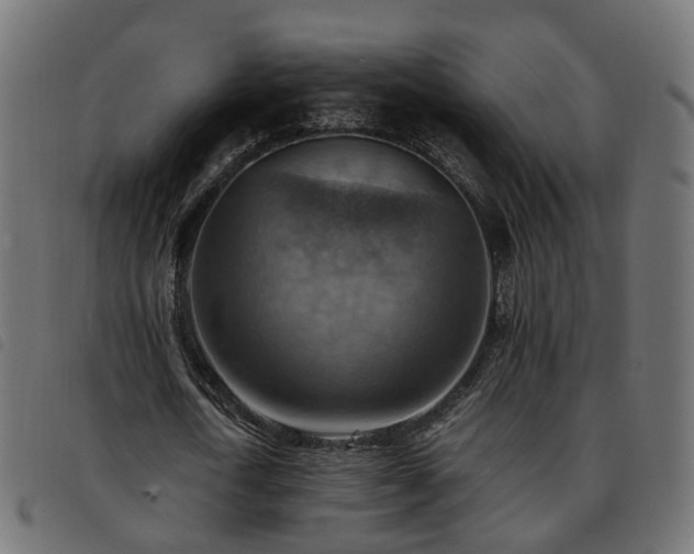 X0000093590722200710151203