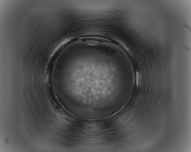 X0000093590723200710151203
