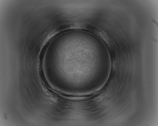 X0000093590724200710151203