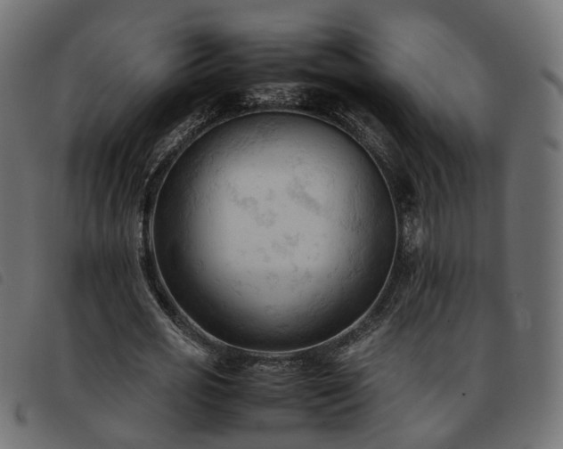 X0000093590725200710151203