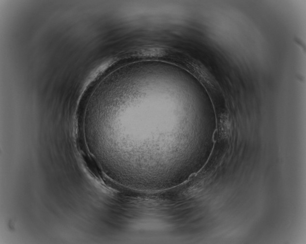 X0000093590726200710151203