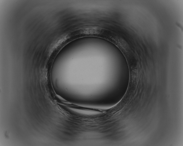 X0000093590727200710151203