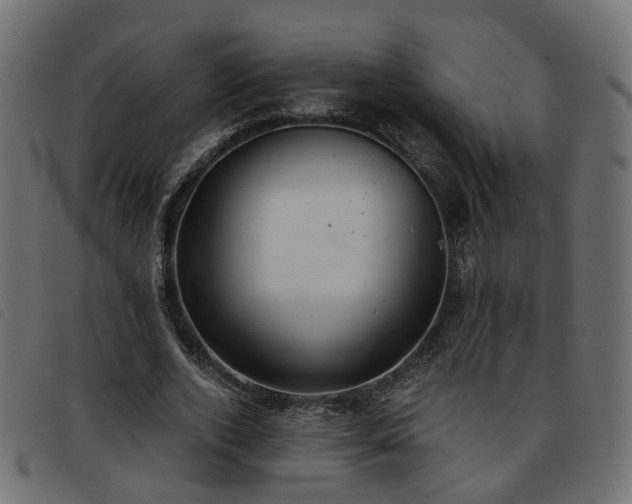 X0000093590728200710151203