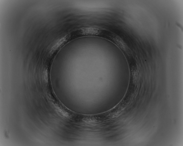 X0000093590729200710151203
