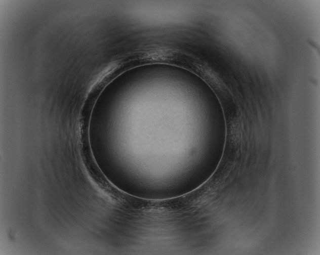 X0000093590730200710151203