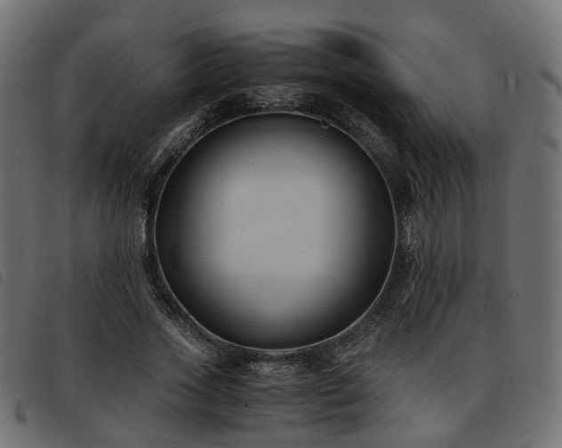 X0000093590733200710151203