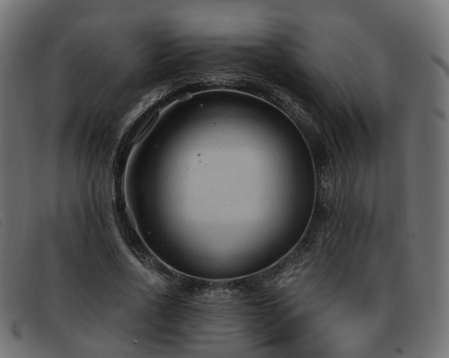 X0000093590734200710151203