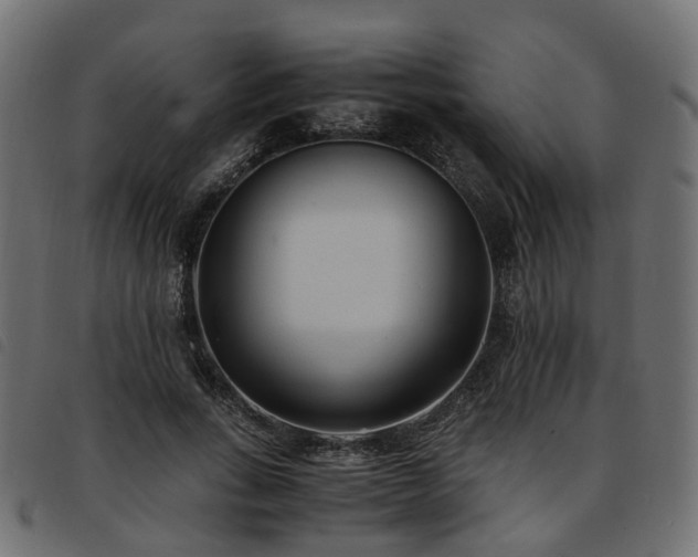 X0000093590735200710151203