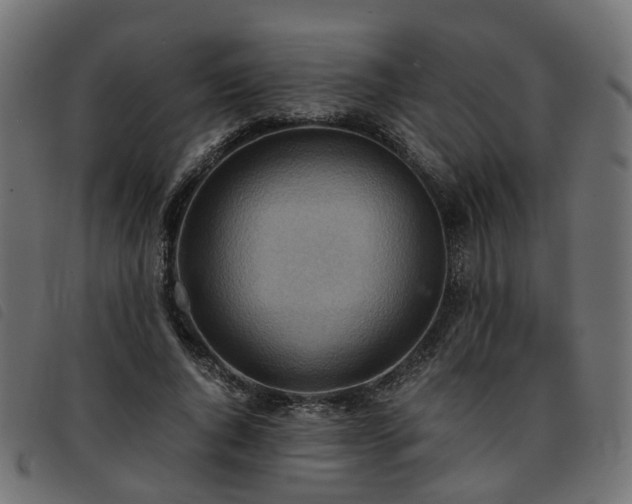 X0000093590736200710151203