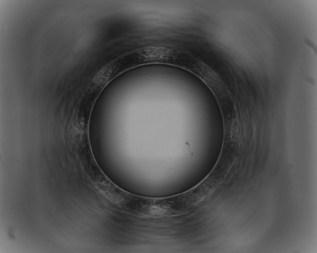 X0000093590737200710151203