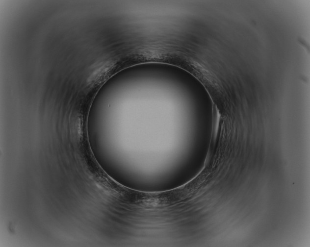 X0000093590740200710151203