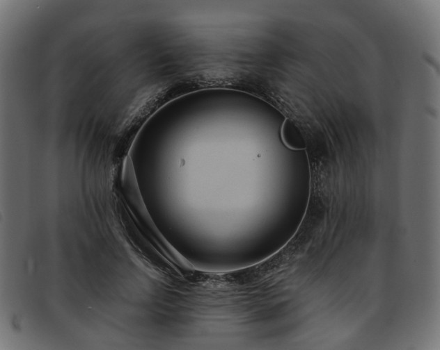 X0000093590742200710151203