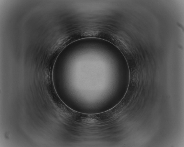 X0000093590743200710151203