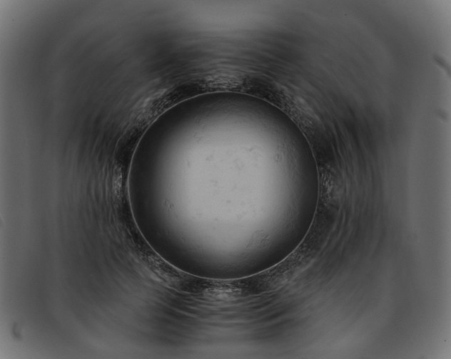 X0000093590745200710151203
