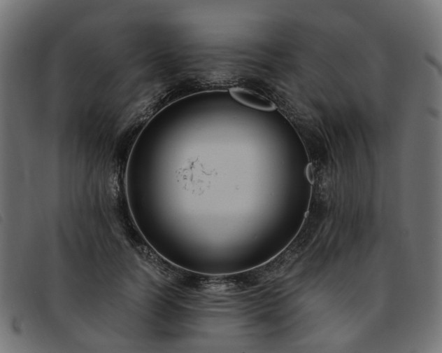 X0000093590746200710151204