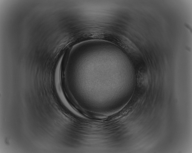 X0000093590748200710151204