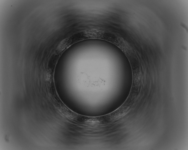 X0000093590749200710151204
