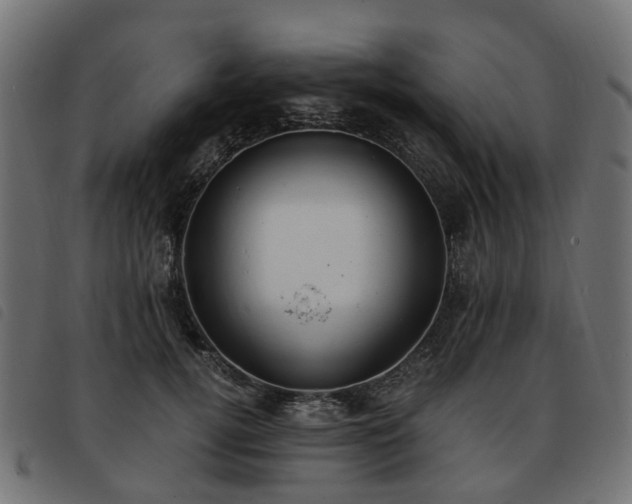 X0000093590752200710151204