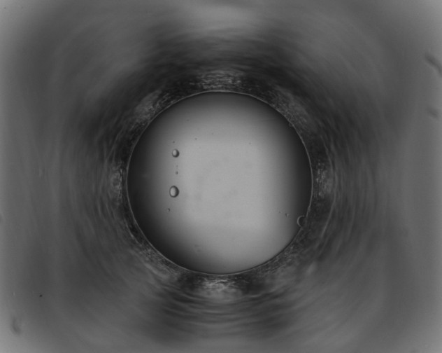 X0000093590753200710151204