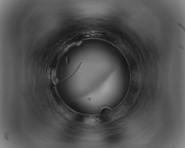 X0000093590754200710151204