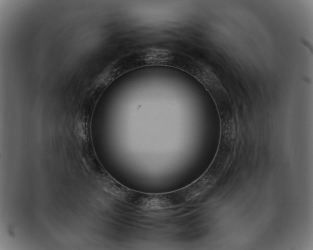X0000093590755200710151204