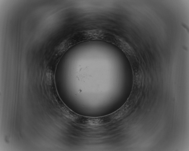 X0000093590757200710151204