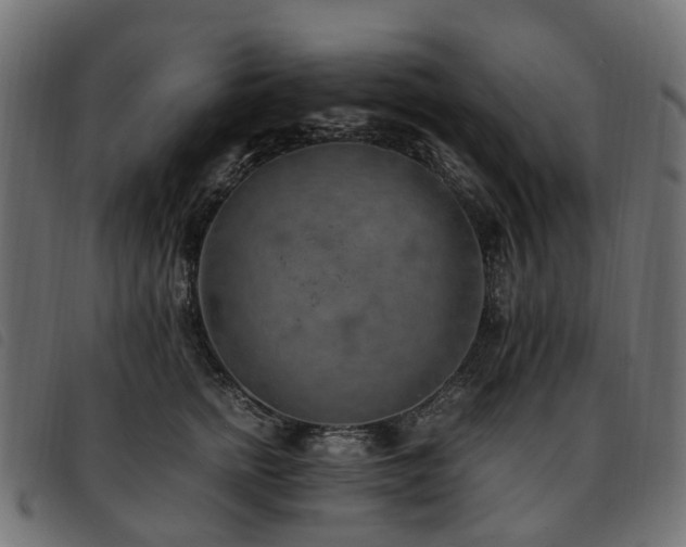 X0000093590758200710151204