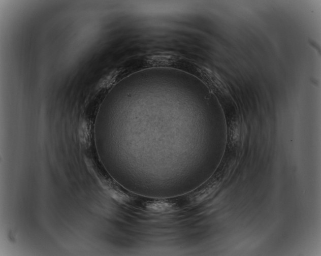 X0000093590759200710151204