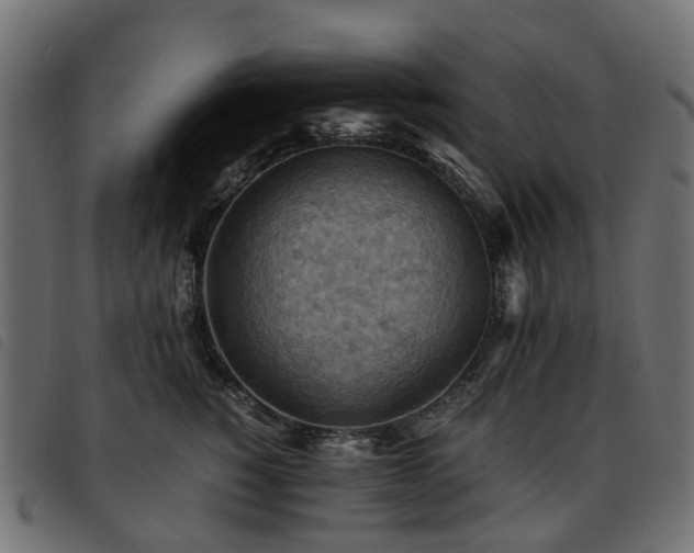 X0000093590760200710151204