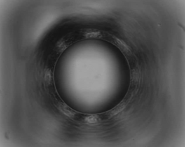 X0000093590761200710151204