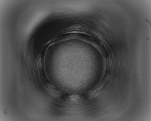 X0000093590762200710151204
