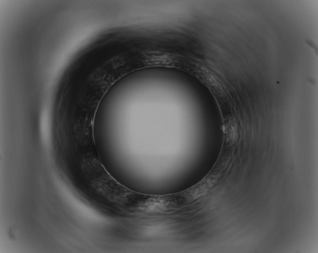 X0000093590764200710151204