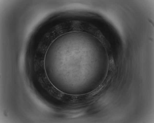 X0000093590765200710151204