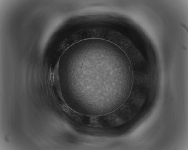X0000093590766200710151204