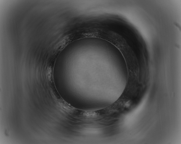 X0000093590767200710151204